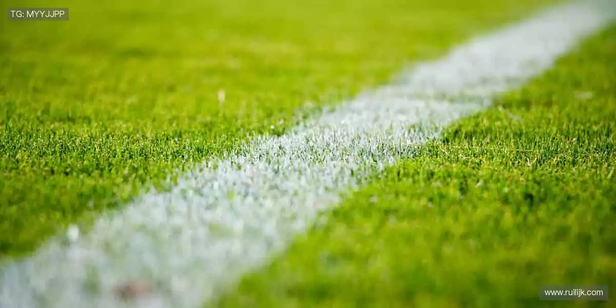 沸腾吧！🏀🏆 体育赛事，点燃你的无限可能！